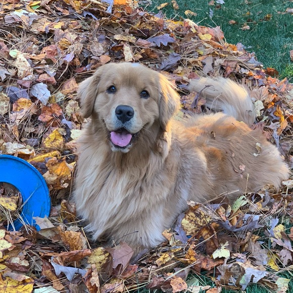 Meet your Posher, Dawn - Picture 6 of 12